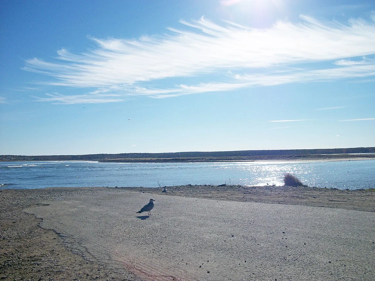 shoreline at the end of South Street, Glace Bay