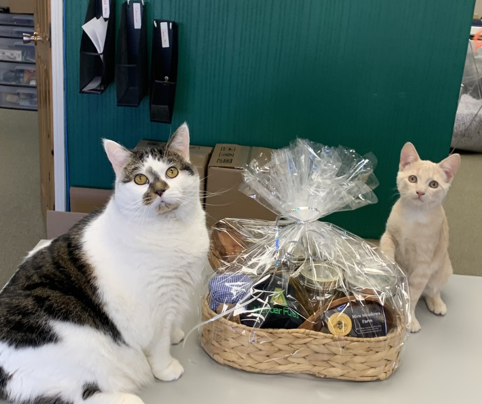 Mercer Fuels social media giveaway prize basket with office cats Cape Breton NS